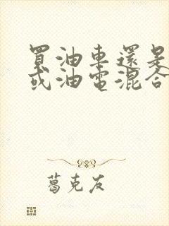 买油车还是电车或油电混合好