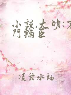 小说,大明:寒门辅臣