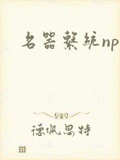 名器系统np