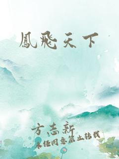 凤飞天下