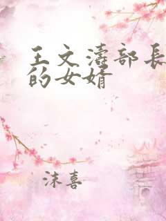 王文涛部长是谁的女婿