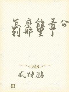 怎么能看公交车到哪里了