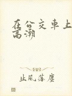 在公交车上达到高潮