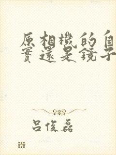 原相机的自己真实还是镜子里的自己真实