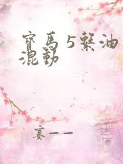 宝马 5系油电混动