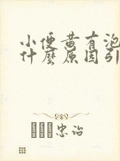 小便黄有泡沫是什么原因引起的