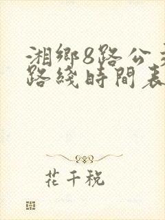 湘乡8路公交车路线时间表