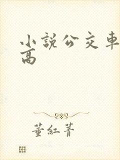 小说公交车被上高