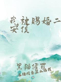 我被赐婚二嫁武安侯