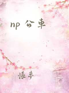 np 公车