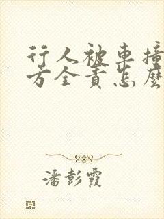 行人被车撞了对方全责怎么赔