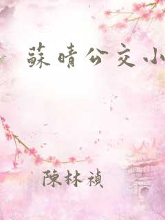 苏晴公交小说