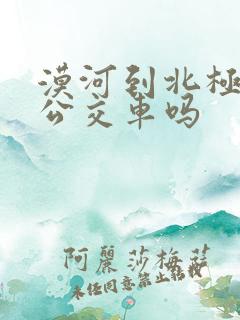 漠河到北极村有公交车吗