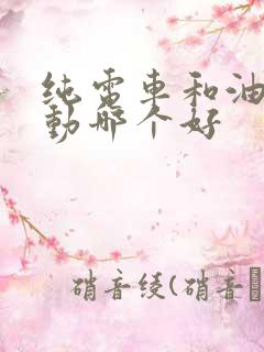 纯电车和油电混动哪个好