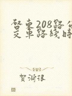 启东208路公交车路线时间表