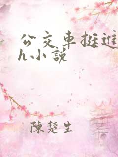 公交车挺进的小h小说