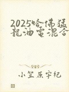 2025哈佛猛龙油电混合价格