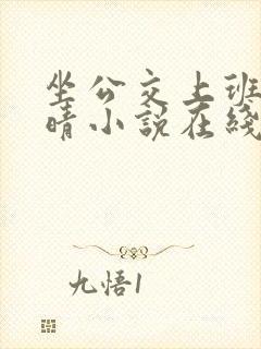 坐公交上班的苏晴小说在线阅读