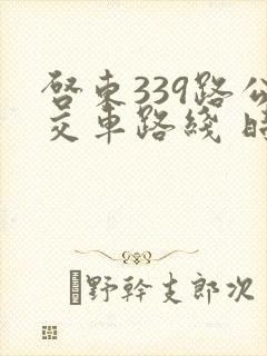 启东339路公交车路线 时间表