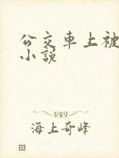 公交车上被摸胸小说