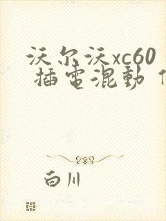 沃尔沃xc60 插电混动 价格