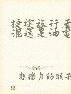 捷途旅行者是插混还是油电混