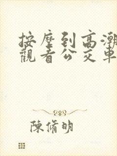 按摩到高潮在线观看公交车内视频