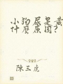 小狗尿是黄的是什么原因?