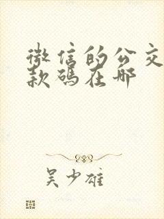 微信的公交车付款码在哪