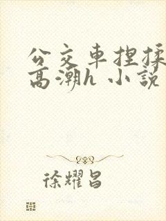 公交车捏揉花蒂高潮h 小说