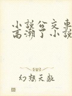 小说公交车被上高潮了小说