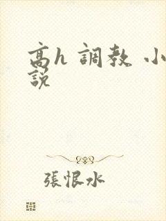 高h 调教 小说