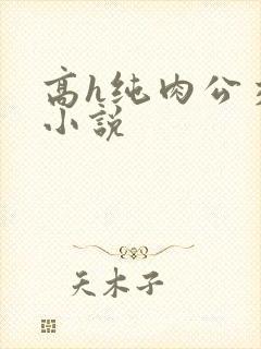 高h纯肉公交车小说