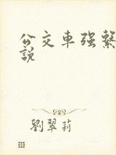 公交车强系列小说