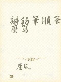 瓣的笔顺笔画怎么写