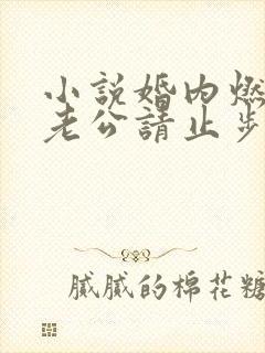 小说婚内燃情:老公请止步小说