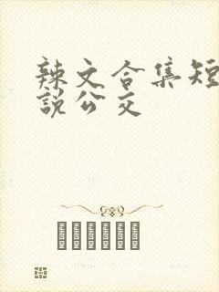 辣文合集短篇小说公交