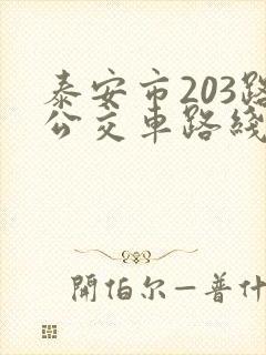 泰安市203路公交车路线图