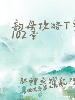 韵母攻略T系列102章