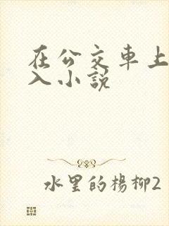 在公交车上被插入小说