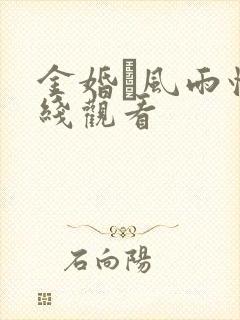 金婚·风雨情在线观看