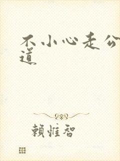 不小心走公交车道