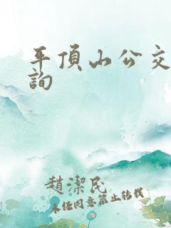 平顶山公交车查询