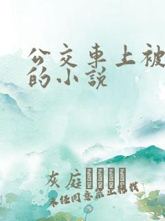 公交车上被人操的小说