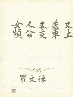 女人又爽又黄视频公交车上