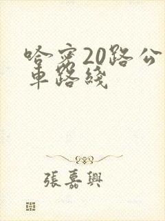 哈密20路公交车路线