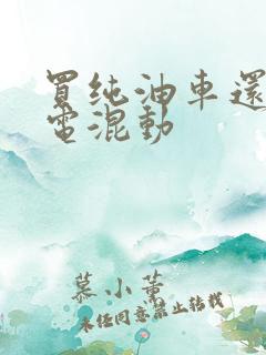 买纯油车还是油电混动