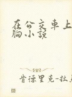 在公交车上被摸胸小说
