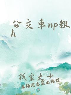 公交车np粗暴h