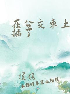 在公交车上被人插了